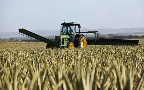 The agricultural sector is a whole universe of processes, goods and services